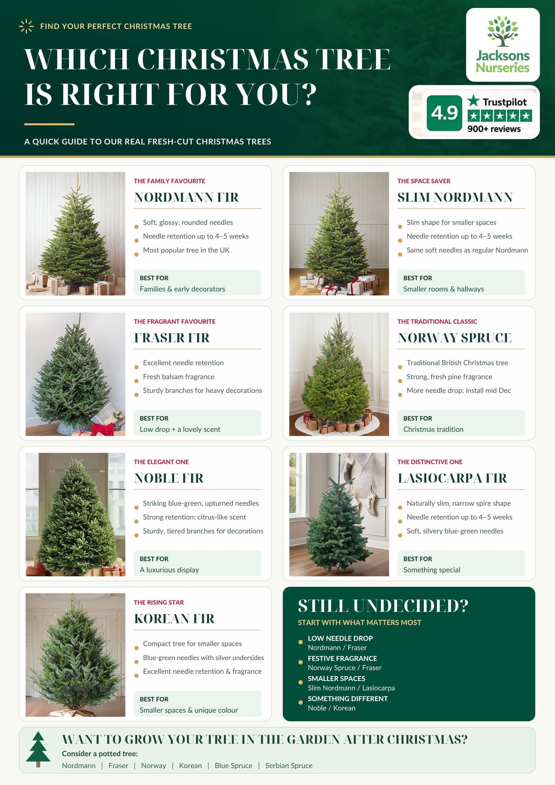 Different Types of Real Christmas tree